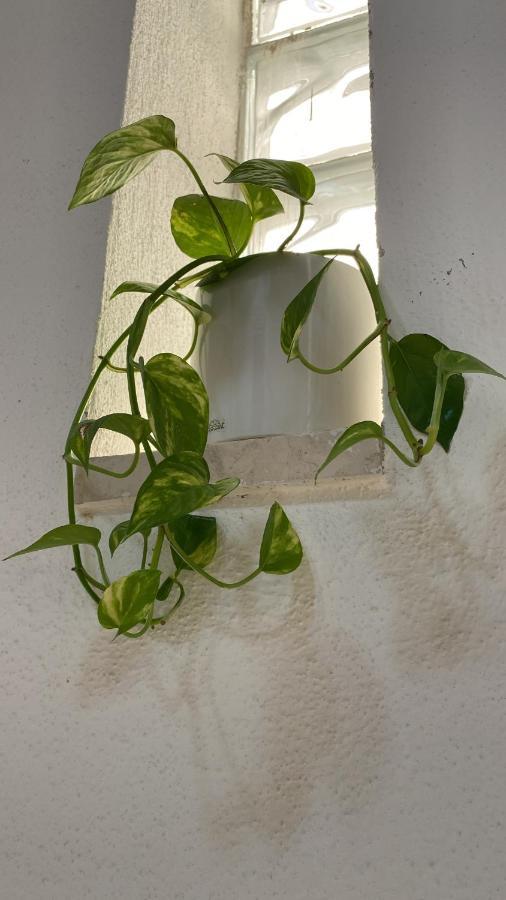 Inn Le Ginestre
